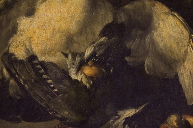Natura morta con uccello - dettaglio